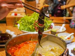-黔诚多彩火锅(甲秀楼店)