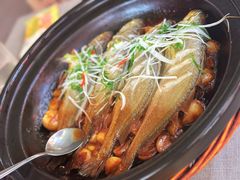 -有喜胶东小馆(太申祥和店)