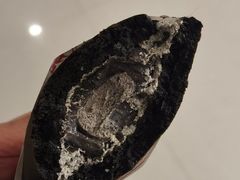 黑芝麻汤圆铜锣烧-泽田本家·铜锣烧(环贸店)