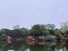 -荔湾湖公园