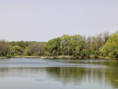 -二一九公园