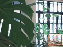 -一尺花园(安和花园店)