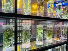 -广东中医药博物馆