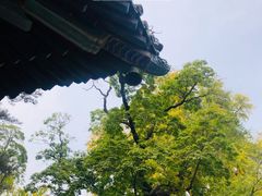 -潭柘寺景区