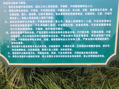 -成飞公园