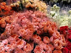 -循礼门鲜花花市(武汉循礼门店)