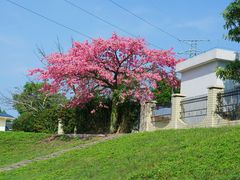 -风云岭森林公园