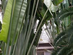 -龙达温泉生态城