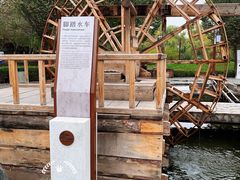 -水车博览园
