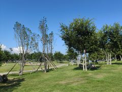 -小麦岛公园