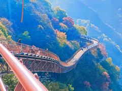 -少华山国家森林公园