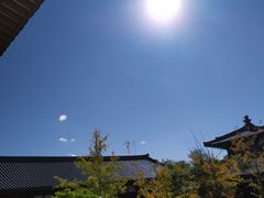-舍利塔滩地公园-无垢净光舍利塔