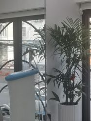 -魔型社烫染店