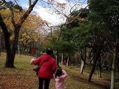-汉拿树木园