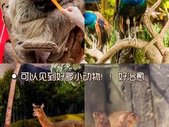 -正佳极地海洋世界