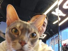 -NRG健身私教CLUB(打浦桥店)