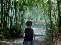 -贵阳市花溪国家城市湿地公园