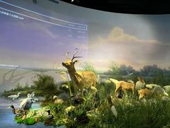 -湖南省地质博物馆