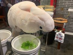 -四海楼(如皋定慧禅寺店)