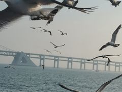 -星海广场