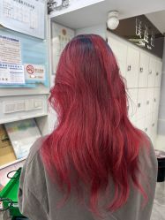 -镁连社·美联社
