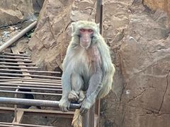 -昆明动物园