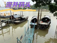 -长洲岛