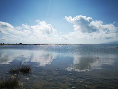 -青海湖国家重点风景名胜区
