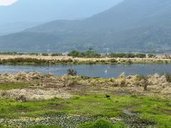 -腾冲北海湿地