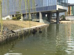 -南京医科大学(江宁校区)