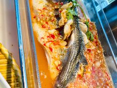 招牌柠檬鱼-佬肥猫(国华广场店)