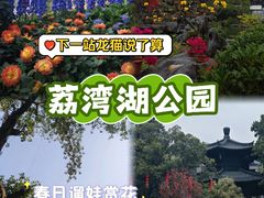 -荔湾湖公园