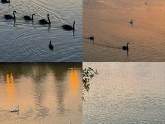 -艾溪湖湿地公园