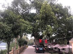 -白云源风景区