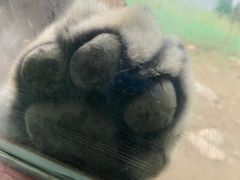 -栾川竹海野生动物园