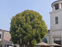 -比斯特苏州购物村精品奥特莱斯