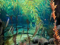 -上海海洋水族馆