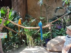 -杭州开元森泊度假乐园