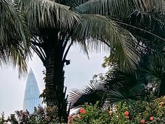 -深圳湾公园(南山区)