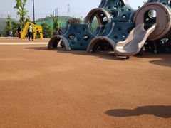 -枫香湖儿童公园