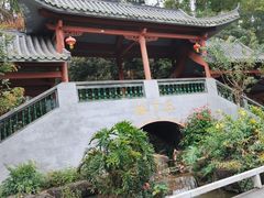 -广州神农草堂中医药博物馆