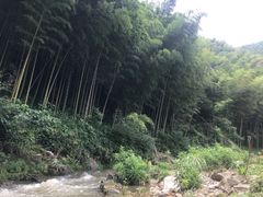 -宁波浙东大竹海景区