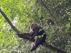 -西岭雪山大飞水景区