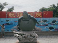 -广东惠东海龟国家级自然保护区