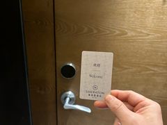 -南京金丝利喜来登酒店