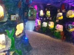 -上海昆虫博物馆