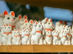 -日照大牌檔•小船海鲜(万平口店)