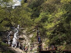 -青峰峡国家森林公园