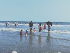 -放鸡岛生态旅游国际度假区
