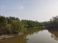 -塘沽森林公园